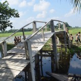 2019: Bridge to the school in Ambari