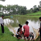 2019: Rybníky a ryby pro děti z Monoshapary