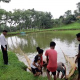 2019: Ponds and fish for children from Monoshapara