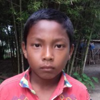 Anando Bormon