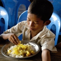 20 children’s lunches