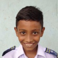 Mehedi Hasan Rabbi