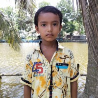 Rajib Mollick