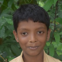 Tarok Das