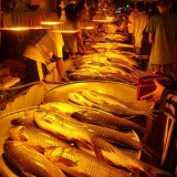 1763446859277062752.jpg 1763446859277062752.jpg